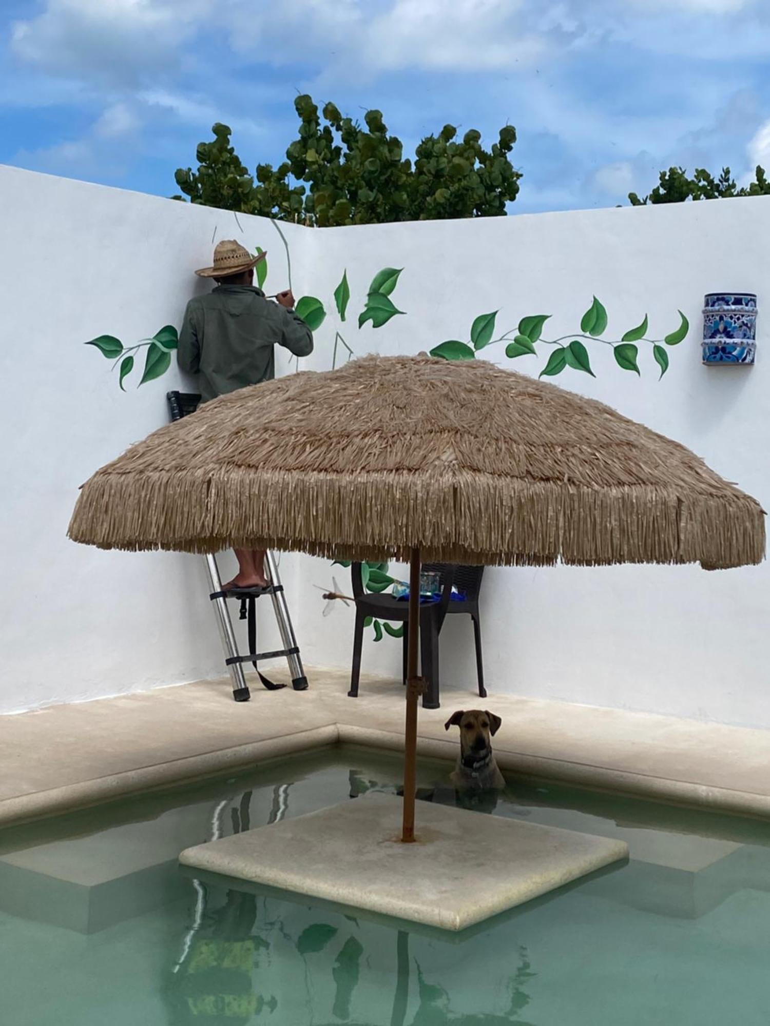 Apartmán Casa Loto B Chelem Exteriér fotografie