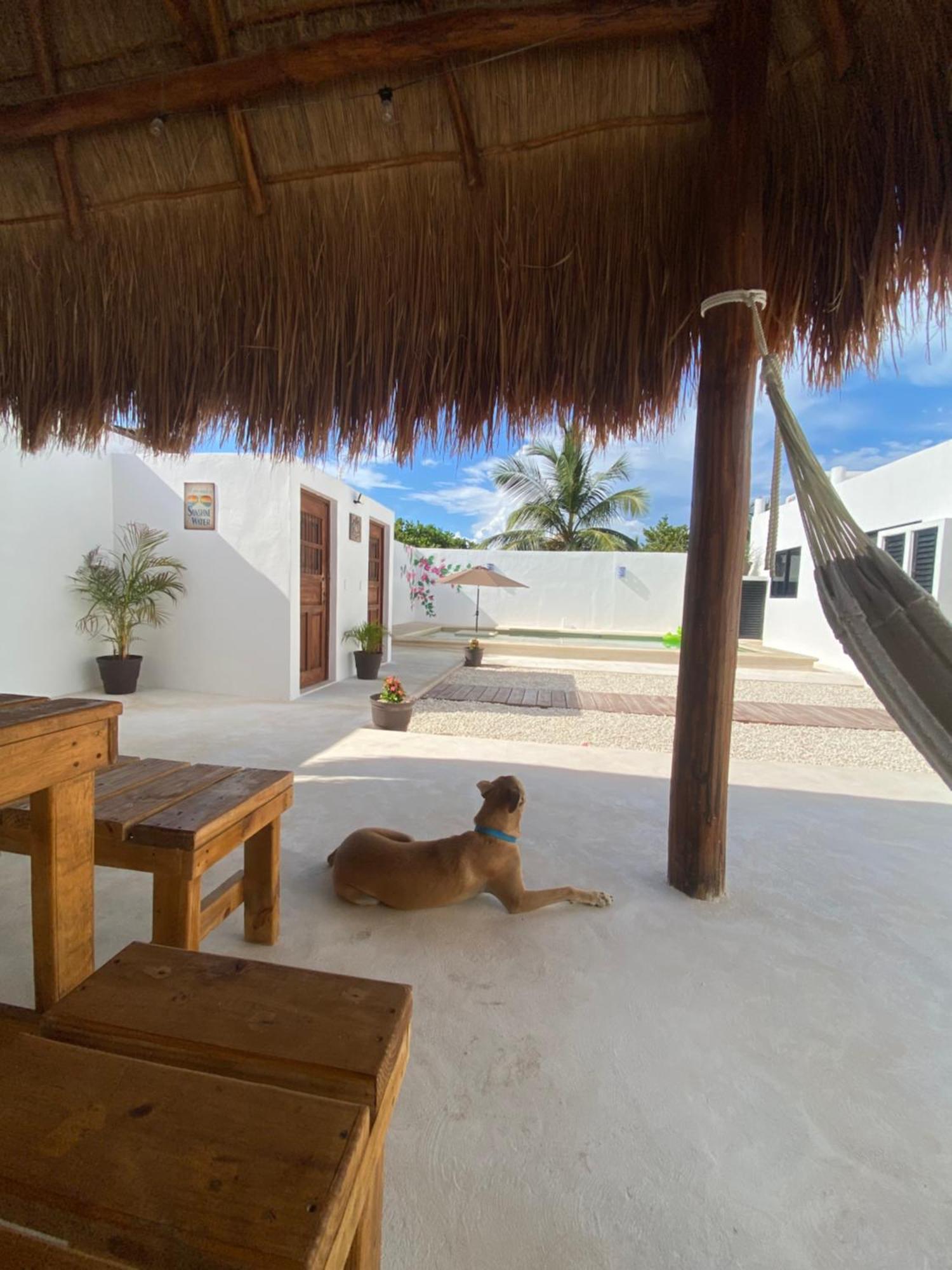 Apartmán Casa Loto B Chelem Exteriér fotografie