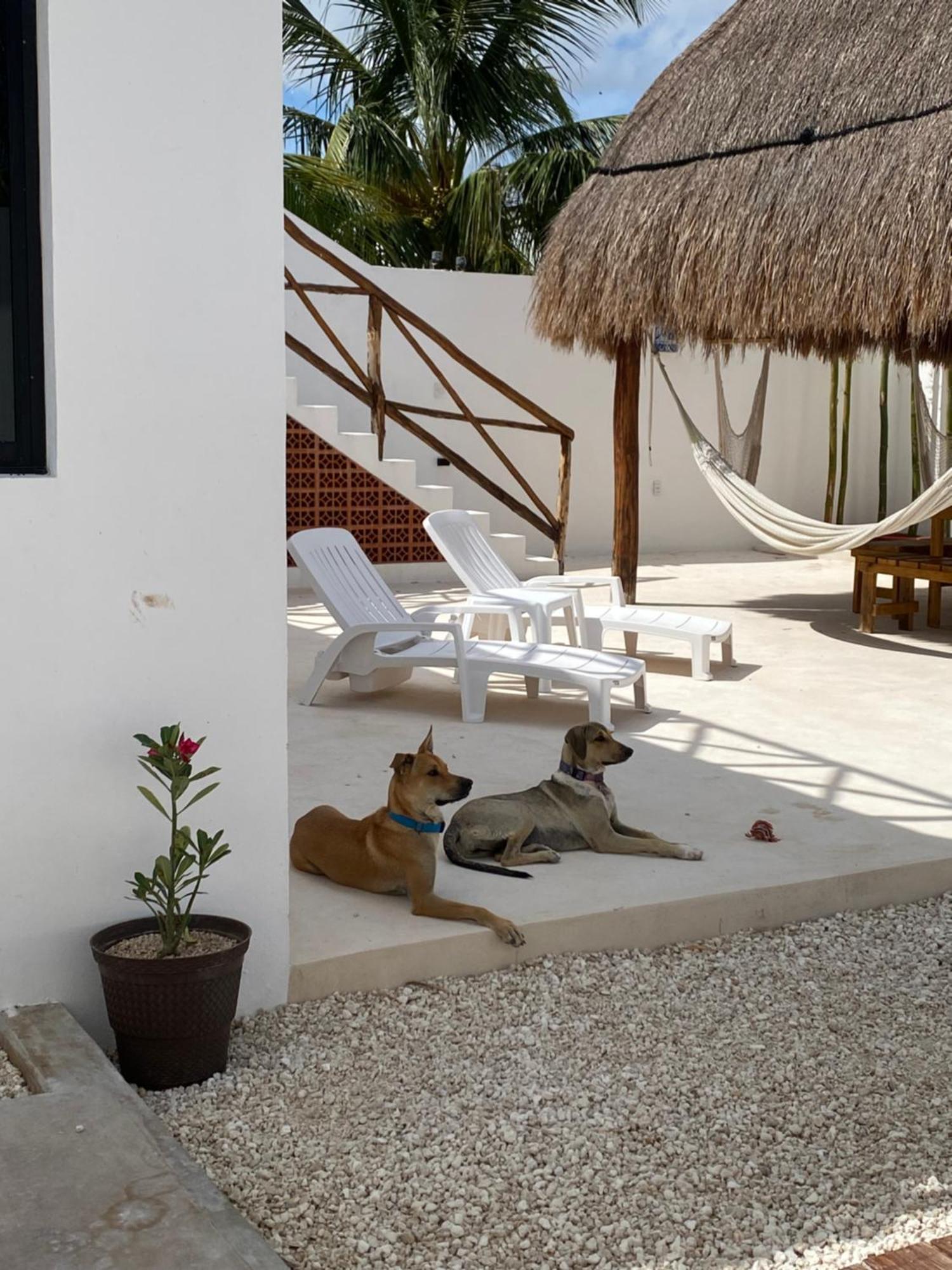 Apartmán Casa Loto B Chelem Exteriér fotografie